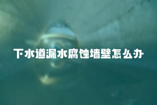 下水道漏水腐蝕墻壁怎么辦
