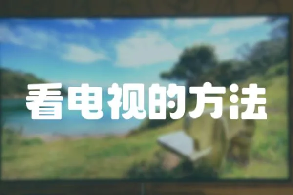 看電視的方法