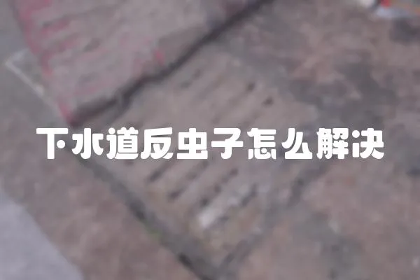下水道反蟲子怎么解決