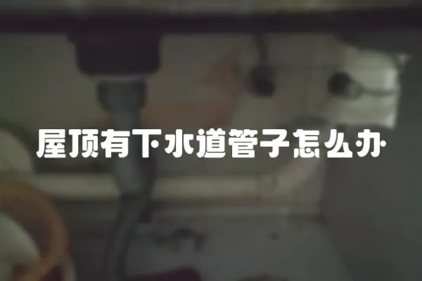 屋頂有下水道管子怎么辦