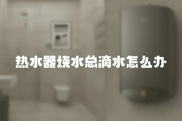 熱水器燒水總滴水怎么辦