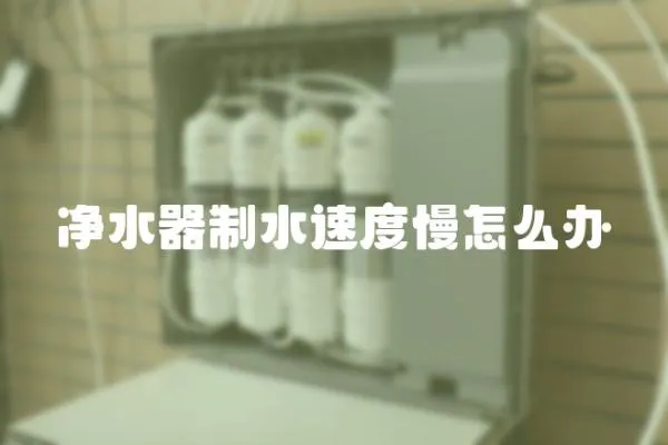 凈水器制水速度慢怎么辦