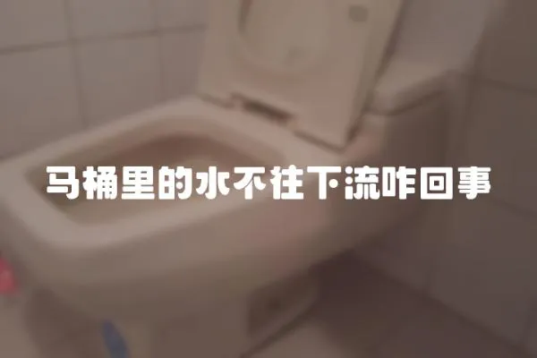 马桶里的水不往下流咋回事