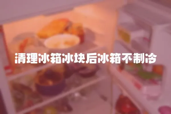 清理冰箱冰塊后冰箱不制冷