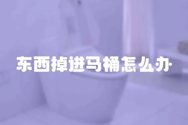 東西掉進馬桶怎么辦