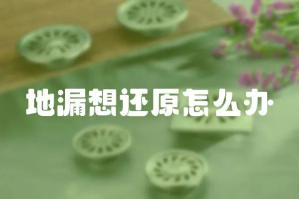 地漏想還原怎么辦