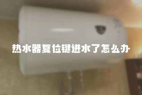 熱水器復(fù)位鍵進(jìn)水了怎么辦