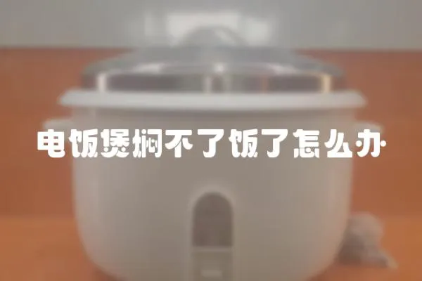 電飯煲燜不了飯了怎么辦