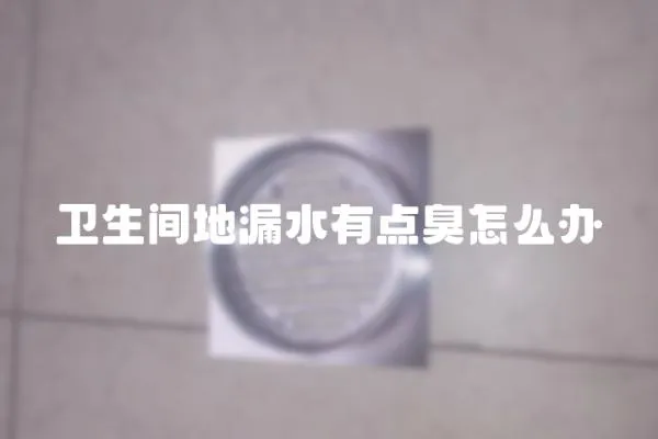 衛生間地漏水有點臭怎么辦