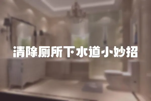 清除廁所下水道小妙招