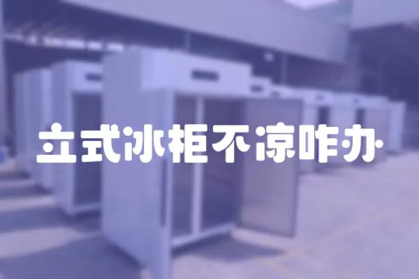 立式冰柜不涼咋辦