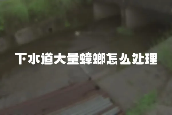 下水道大量蟑螂怎么處理