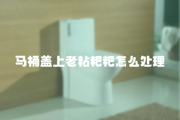 馬桶蓋上老粘粑粑怎么處理
