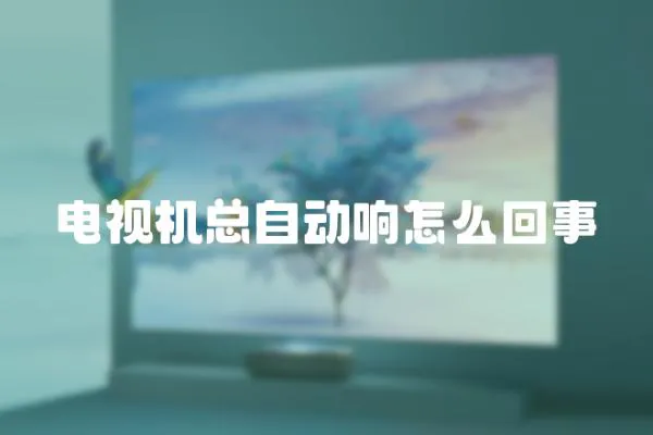 電視機總自動響怎么回事
