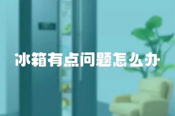 冰箱有點問題怎么辦