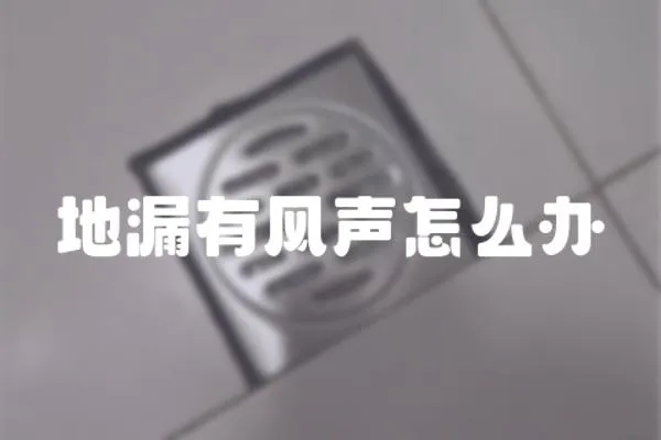 地漏有風(fēng)聲怎么辦