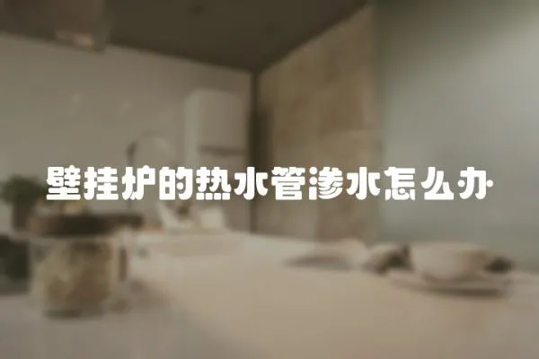 壁掛爐的熱水管滲水怎么辦