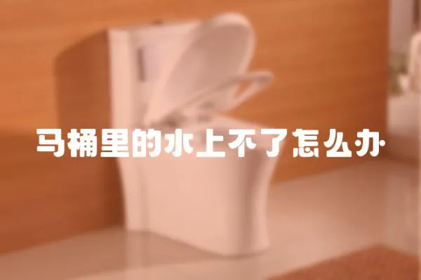 馬桶里的水上不了怎么辦