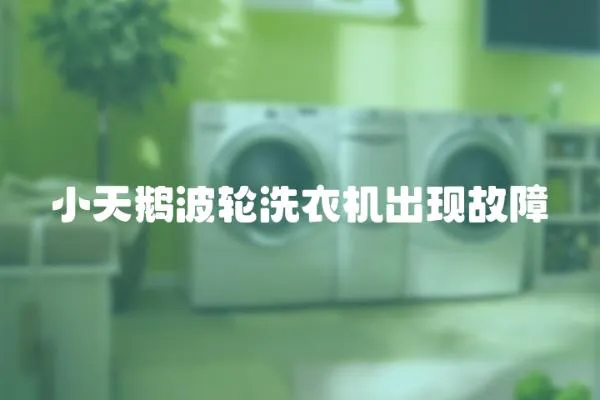 小天鵝波輪洗衣機(jī)出現(xiàn)故障