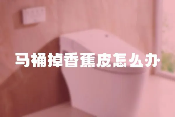 馬桶掉香蕉皮怎么辦
