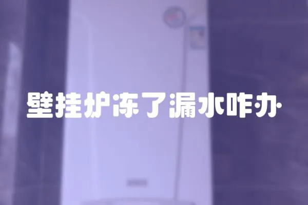 壁掛爐凍了漏水咋辦