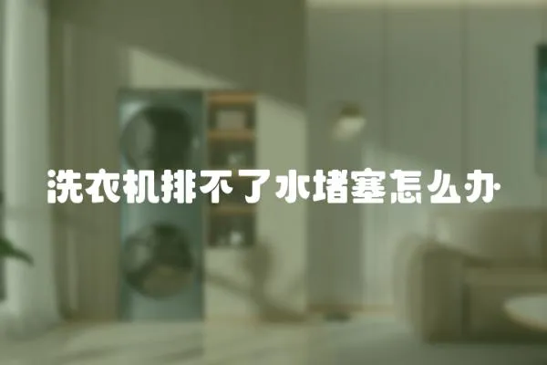 洗衣機排不了水堵塞怎么辦