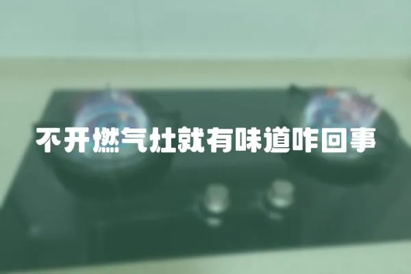 不开燃气灶就有味道咋回事