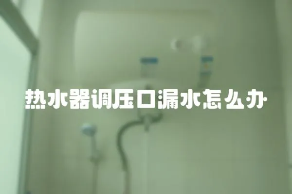 熱水器調(diào)壓口漏水怎么辦