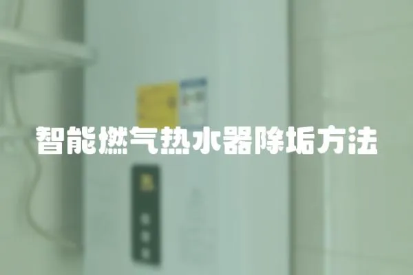 智能燃氣熱水器除垢方法