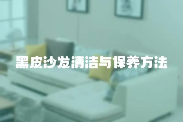 黑皮沙發(fā)清潔與保養(yǎng)方法
