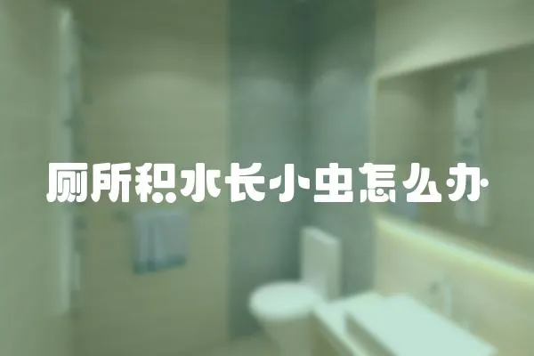 廁所積水長小蟲怎么辦