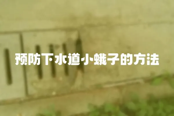 預(yù)防下水道小蛾子的方法