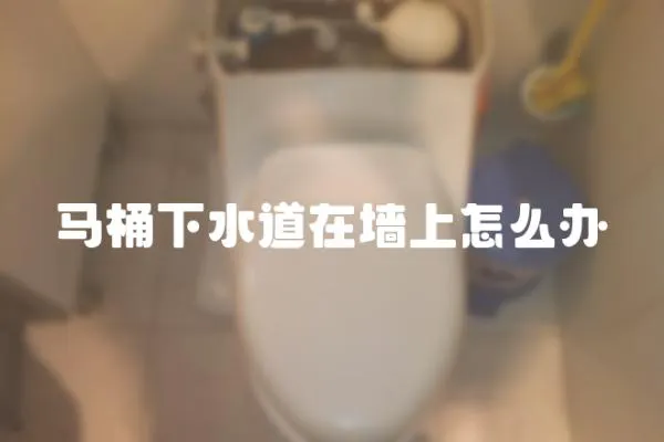 馬桶下水道在墻上怎么辦