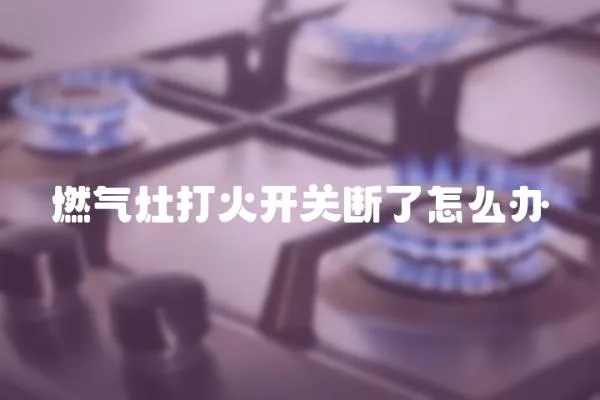 燃氣灶打火開關斷了怎么辦