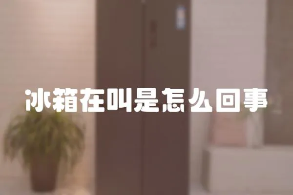 冰箱在叫是怎么回事
