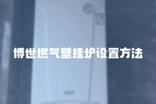 博世燃氣壁掛爐設置方法