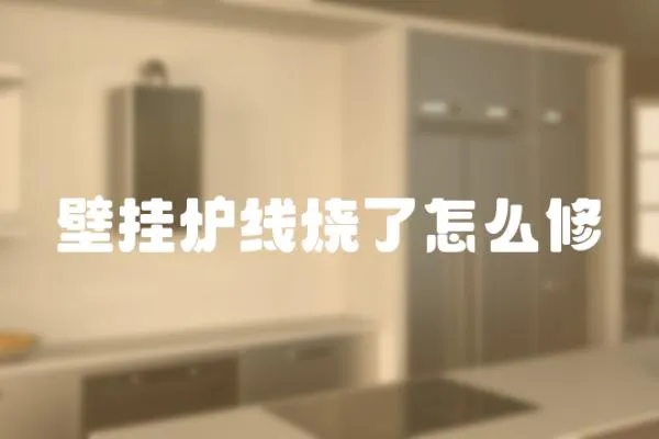 壁掛爐線燒了怎么修