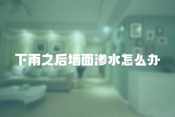 下雨之后墻面滲水怎么辦