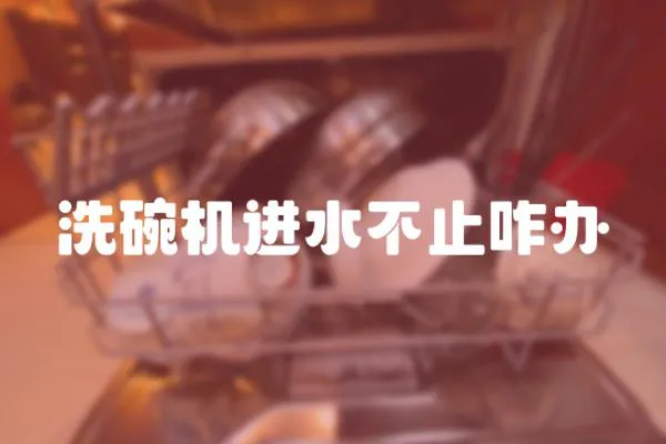 洗碗機進水不止咋辦