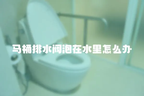 馬桶排水閥泡在水里怎么辦