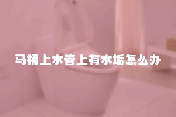 馬桶上水管上有水垢怎么辦