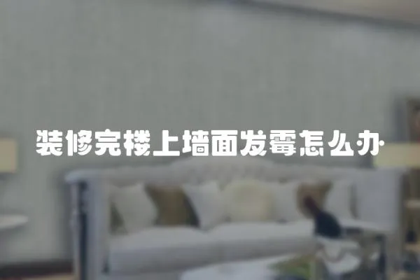 裝修完樓上墻面發(fā)霉怎么辦