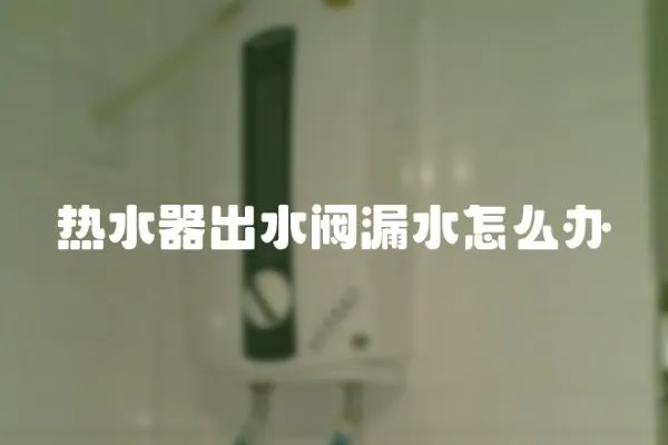 熱水器出水閥漏水怎么辦