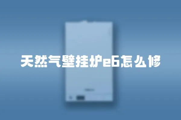 天然氣壁掛爐e6怎么修