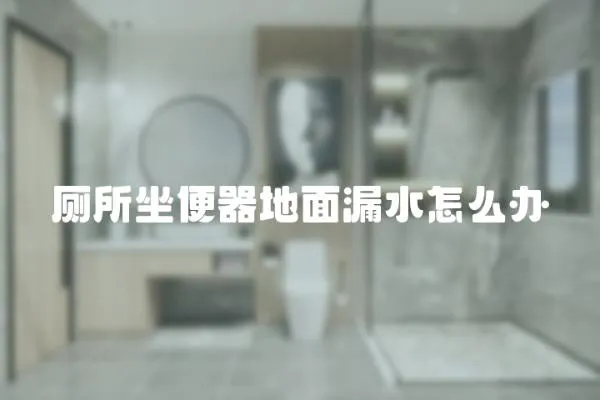 廁所坐便器地面漏水怎么辦