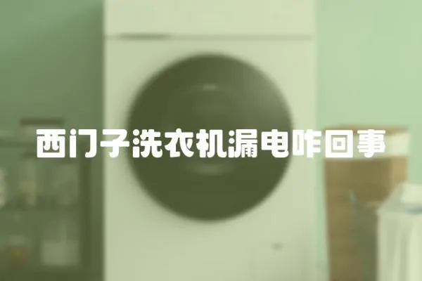 西門子洗衣機漏電咋回事