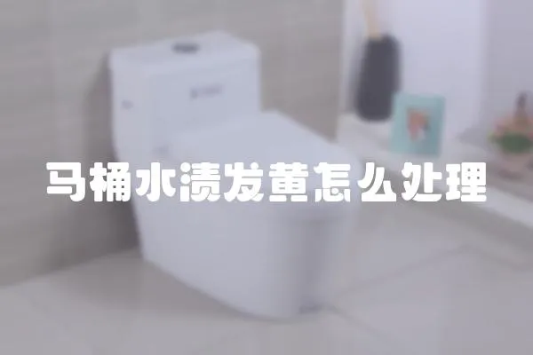 馬桶水漬發黃怎么處理