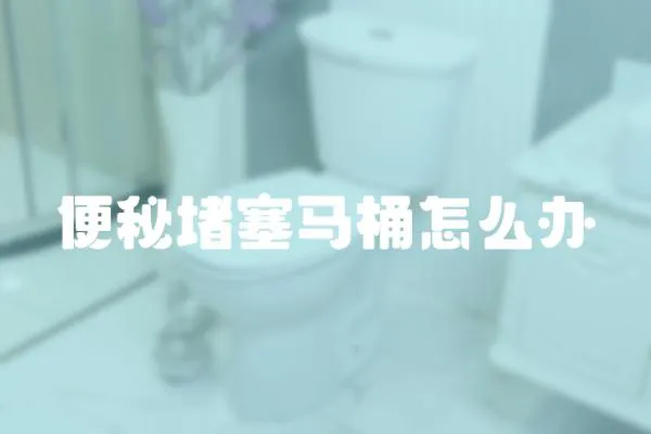 便秘堵塞馬桶怎么辦