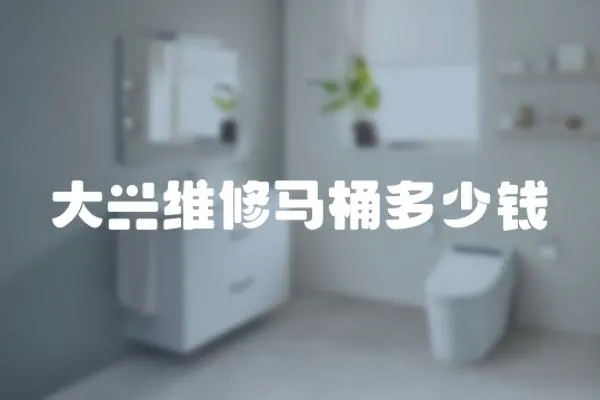 大興維修馬桶多少錢