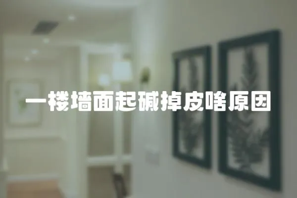 一樓墻面起堿掉皮啥原因